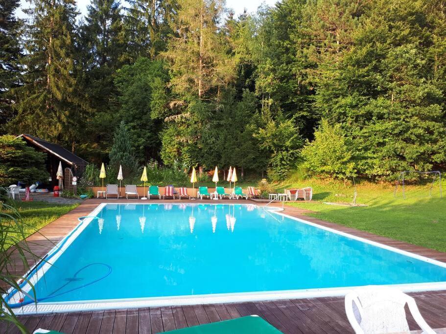 Haus Sonnenhang +Seeblick+Pool ライフニッツ エクステリア 写真