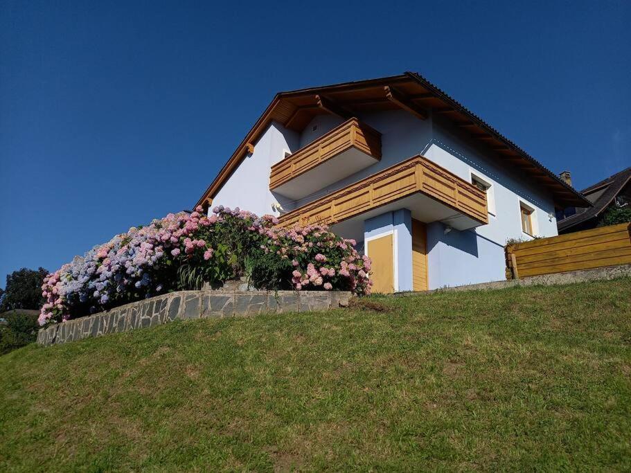 Haus Sonnenhang +Seeblick+Pool ライフニッツ エクステリア 写真