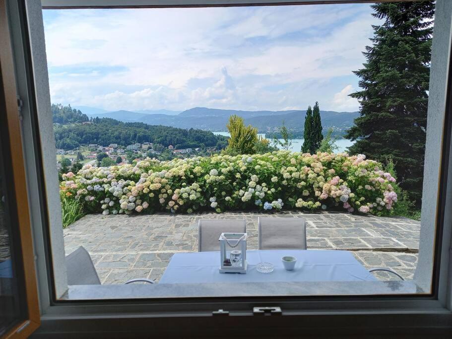 Haus Sonnenhang +Seeblick+Pool ライフニッツ エクステリア 写真